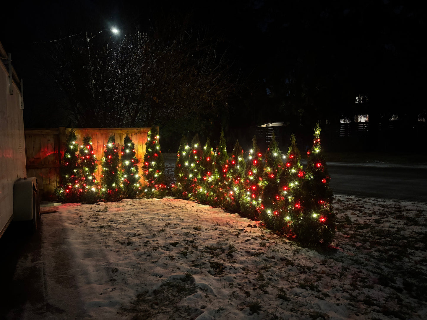 AC Mini Lights 5mm - 25ft/50LED - Red+Warm White