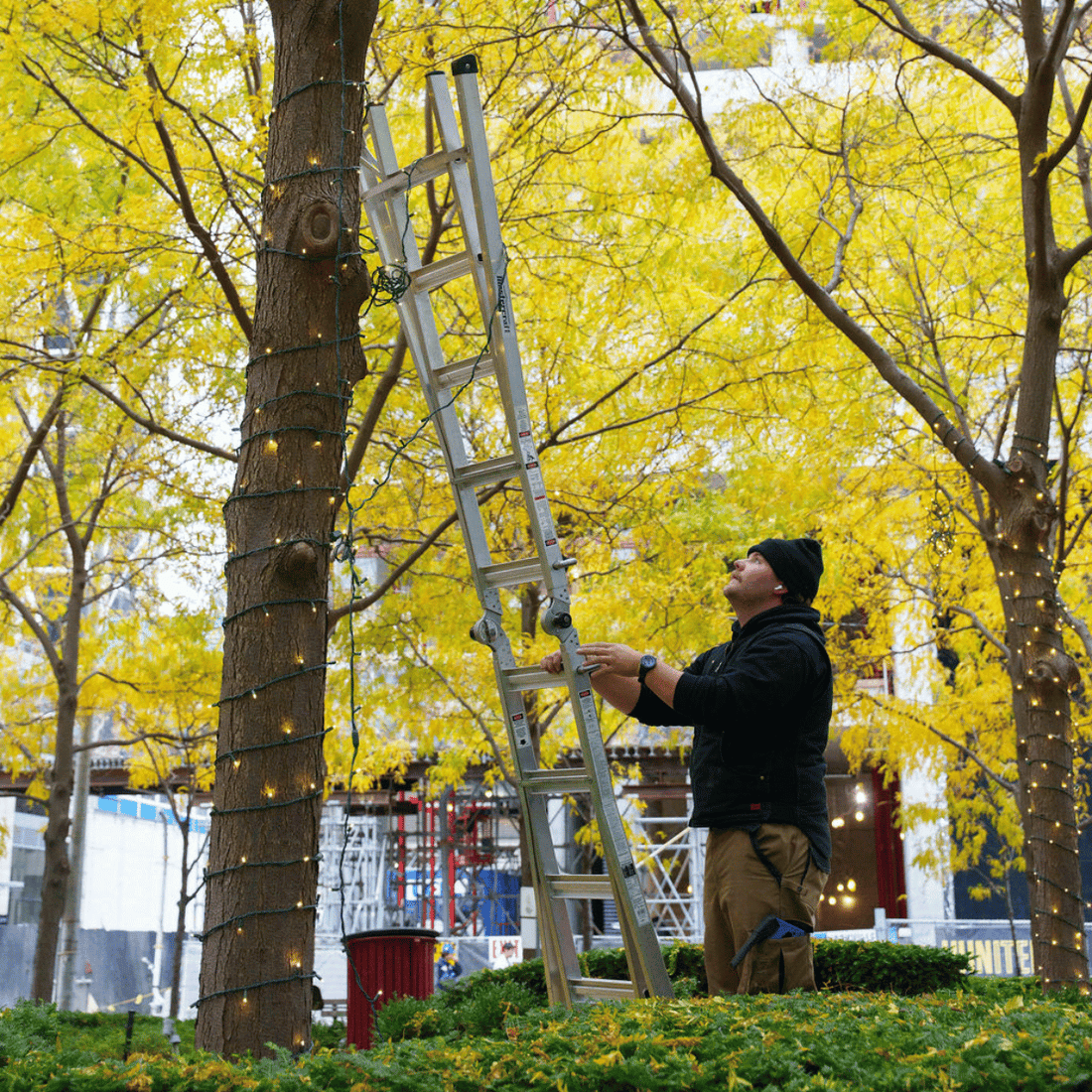 Planning a Professional Christmas Light Installation: What You Need