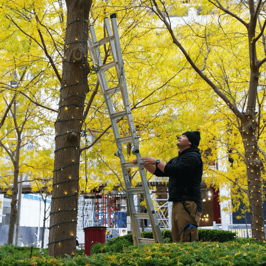 Planning a Professional Christmas Light Installation: What You Need