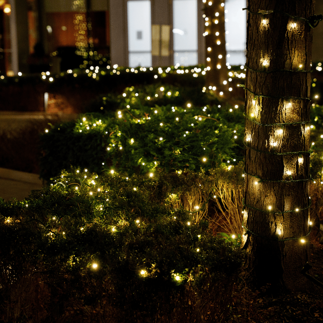 C9 vs. Mini Christmas Lights: Which Should You Use?