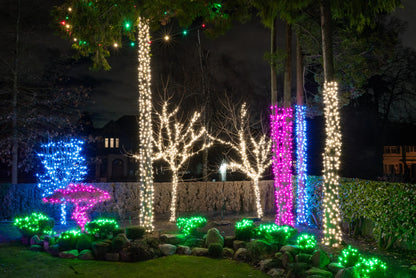 Mini Lights 5mm - 25ft/50LED - RGW