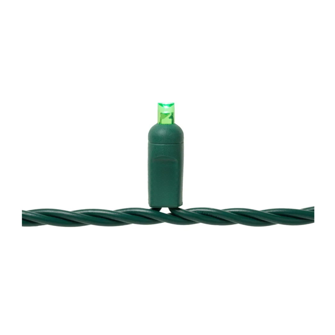 AC Mini Lights 5mm - 25ft/50LED - Green